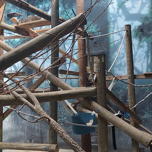 2024-07-09-vilas-primates-01