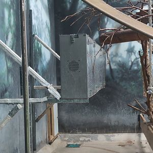 2024-07-09-vilas-primates-03