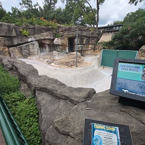 2024-07-09-vilas-arctic-fox-info-04