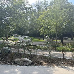 Renovated Takin Enclosure and visitor path.