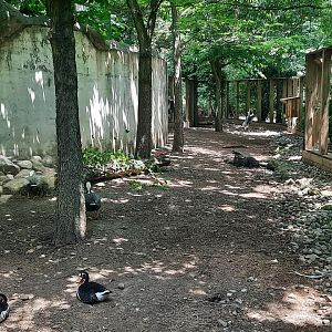 Legends of the Wild Mixed Exhibit