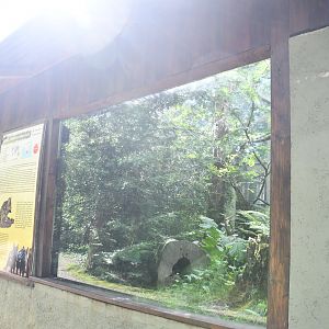 Eastern Quoll exhibits