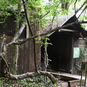 entrance to Capercaillie viewing area