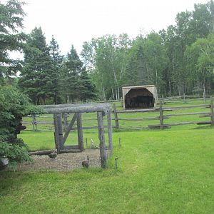 Farm seen from train
