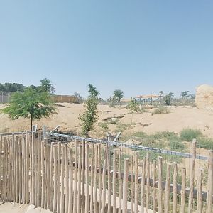 Midbarium - African wild Dogs