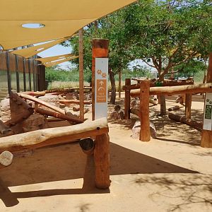 Midbarium - Leopard themed playground