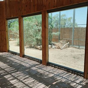 Midbarium - Persian Leopard pt.2