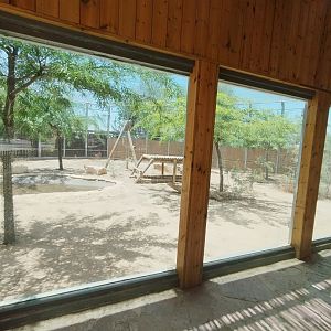 Midbarium - Persian Leopard pt.3