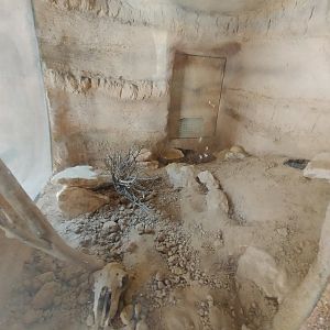 Midbarium - Desert Cobra