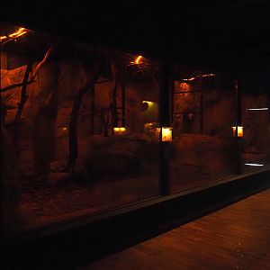 Nachtwelten (Nocturnal house) - Bat and Sugar glider exhibits, 2024-05-22