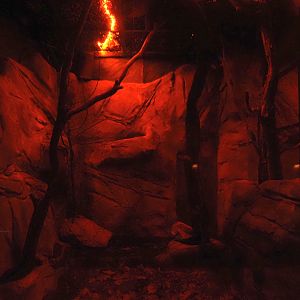 Sugar glider exhibit, 2024-05-22