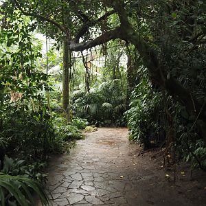 View in Jungle Trail, 2024-05-22