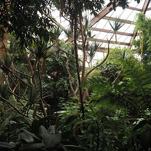 View in Jungle Trail, 2024-05-22