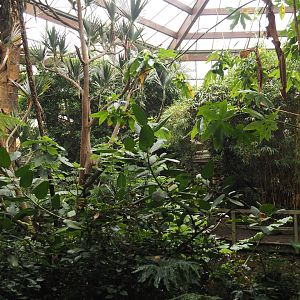 View in Jungle Trail, 2024-05-22