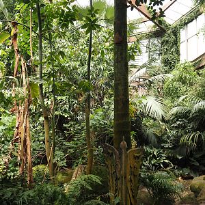 View in Jungle Trail, 2024-05-22