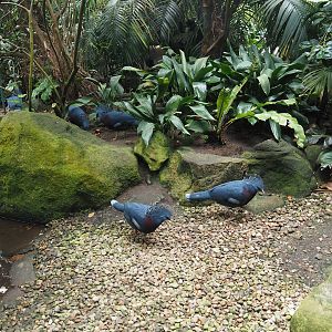 Jungle Trail - Rocky beach area, 2024-05-22