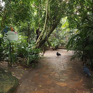 Jungle Trail walkway, 2024-05-22