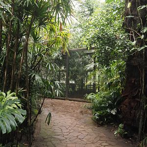 Jungle Trail - View towards aviaries, 2024-05-22