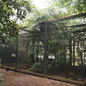 Three aviaries in Jungle Trail, 2024-05-22