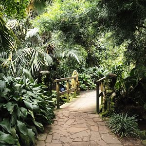 Jungle Trail - Walkway and bridge over creek, 2024-05-23