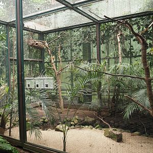 Crested wood partridge, Capuchinbird and Western crowned pigeon aviary, 2024-05-23