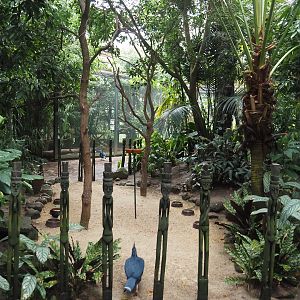 Feeding zone for free-ranging birds in Jungle Trail, 2024-05-22