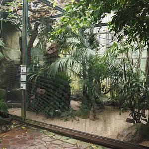 Luzon hornbill, Eastern purple heron and Palawan peacock-pheasant aviary, 2024-05-22