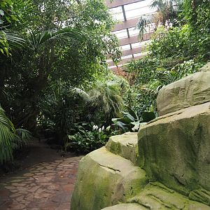 View in Jungle Trail, 2024-05-22