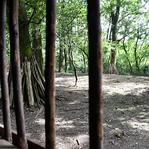view into one of two Indochinese Sika Deer exhibits (from Capercaillie viewing shelter)