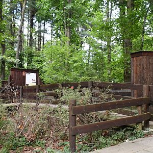 Hog Deer exhibit viewing area