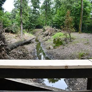 Swamp Wallaby/Emu exhibit