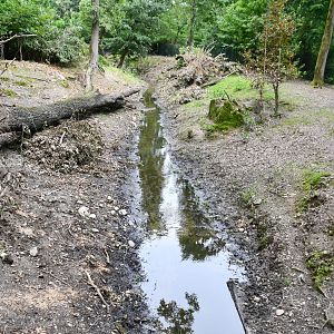 Swamp Wallaby/Emu exhibit