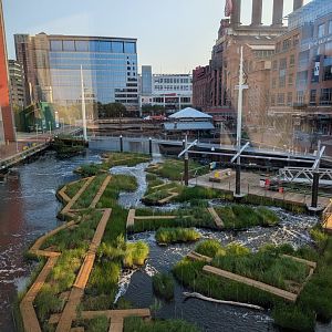 Harbor Wetlands Construction - July 2024