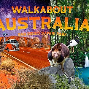Walkabout Australia at the San Diego Zoo Safari Park | Ep. 28
