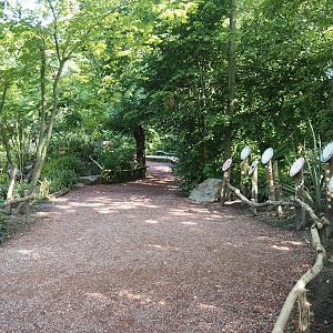 Visitor area in renovated Tasmanian devil area, 2024-07-14