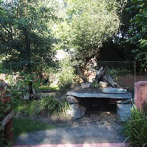 Renovated Tasmanian devil area - First Tasmanian devil exhibit, 2024-07-14