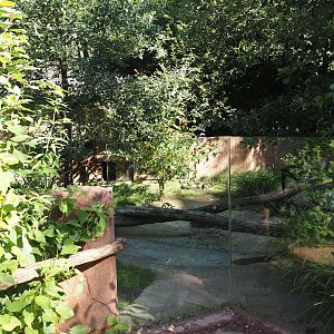 Renovated Tasmanian devil area - First Tasmanian devil exhibit, 2024-07-14