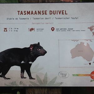 New Tasmanian devil signage, 2024-07-14