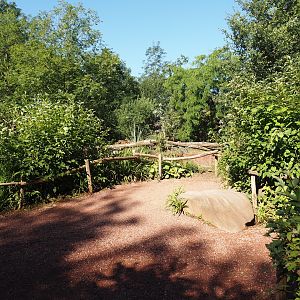 Visitor area in renovated Tasmanian devil area, 2024-07-14