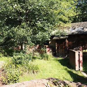 Renovated Tasmanian devil area - Second Tasmanian devil exhibit, 2024-07-14