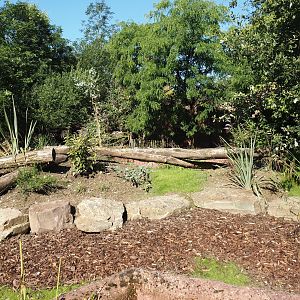 Renovated Tasmanian devil area - Second Tasmanian devil exhibit, 2024-07-14