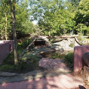 Renovated Tasmanian devil area - Second Tasmanian devil exhibit, 2024-07-14