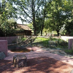 Renovated Tasmanian devil area - Third Tasmanian devil exhibit, 2024-07-14