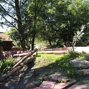 Renovated Tasmanian devil area - Third Tasmanian devil exhibit, 2024-07-14