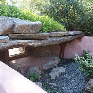 Renovated Tasmanian devil area - Third Tasmanian devil exhibit - Viewable den, 2024-07-14
