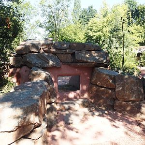 Renovated Tasmanian devil area - Third Tasmanian devil exhibit - Viewable den, 2024-07-14