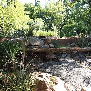 Renovated Tasmanian devil area - Fourth Tasmanian devil exhibit, 2024-07-14