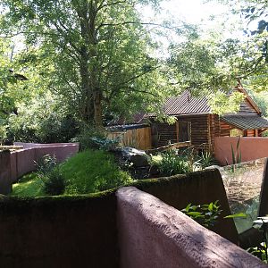 Renovated Tasmanian devil area - Fourth Tasmanian devil exhibit, 2024-07-14