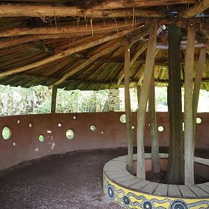 Renovated Eastern grey kangaroo, Swamp wallaby, Emu and Tasmanian devil viewing area, 2024-07-14