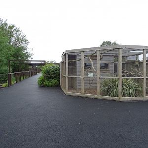 Lovebird aviary, the first exhibit seen on entry, 7th July 2024